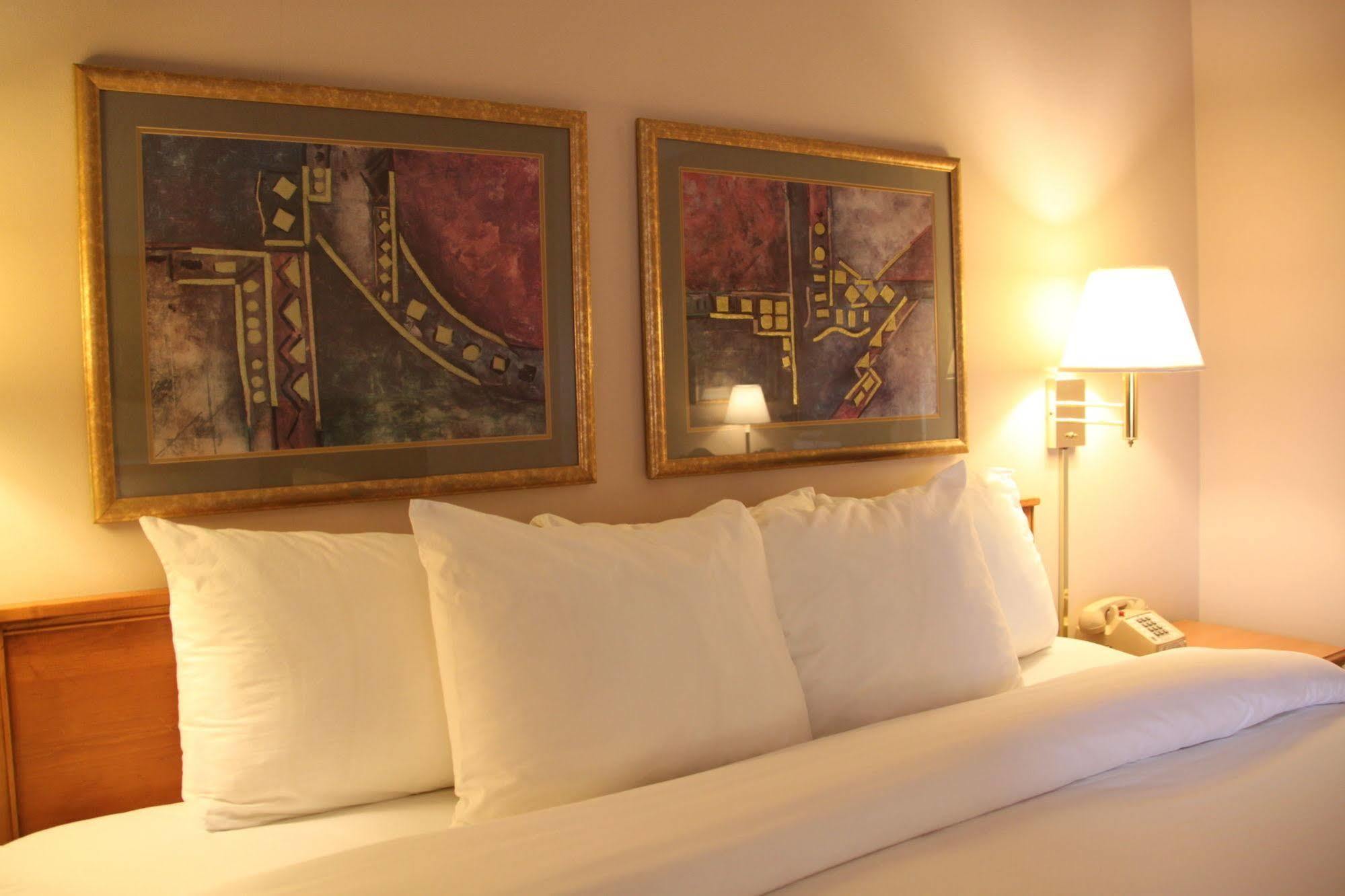 Holiday Inn Express - Canton By Ihg Zewnętrze zdjęcie